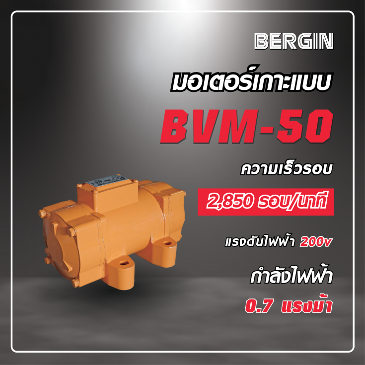 มอเตอร์เกาะแบบ BVM-50 220V